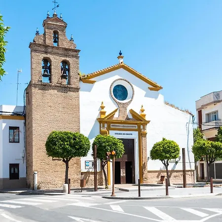 Jp7 Piso 10 Min Sevilla Camas